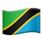 Tanzania flag